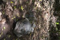 500 Spaziergang auf Cousin