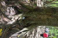 501 Spaziergang auf Cousin