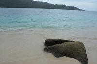 519 Strand auf Curieuse