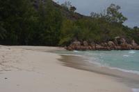 521 Strand auf Curieuse