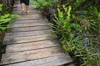 528 Spaziergang auf Curieuse