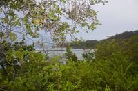 533 Spaziergang auf Curieuse