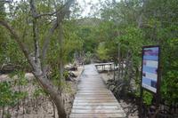 539 Spaziergang auf Curieuse