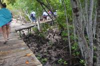 541 Spaziergang auf Curieuse