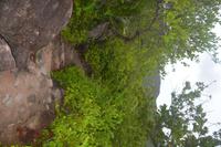 546 Spaziergang auf Curieuse