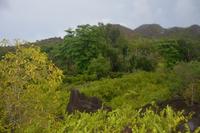 547 Spaziergang auf Curieuse