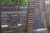 Mauritius - Siebenfarbige Erde