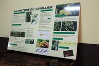 La Reunion - Vanilleraie von Saint Suzanne