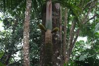 Seychellen - Mission Lodge