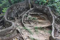 Seychellen - Mission Lodge