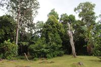 Seychellen - Mission Lodge