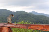 Seychellen - Mission Lodge