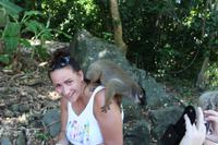 Madagaska/Nosy Be - Lemureninsel