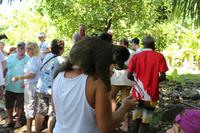 Madagaska/Nosy Be - Lemureninsel