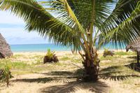 Madagaska/Nosy Be - Coco Beach
