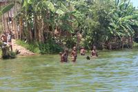 Madagaskar/Toamasina - Pangalanes Fluss