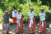 Madagaskar/Toamasina - Traditionelles Dorf am Pangalanes Fluss