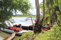 Madagaskar/Toamasina - Traditionelles Dorf am Pangalanes Fluss