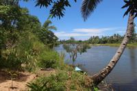 Madagaskar/Toamasina - Traditionelles Dorf am Pangalanes Fluss