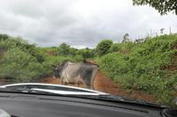 Madagaskar/Antsiranana - Fahrt zum Nationalpark