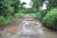 Madagaskar/Antsiranana - Fahrt zum Nationalpark