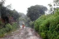 Madagaskar/Antsiranana - Fahrt zum Nationalpark