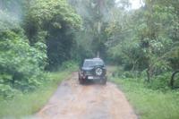 Madagaskar/Antsiranana - Fahrt zum Nationalpark 