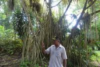 Cyril im Botanischen Garten