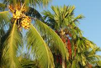 Unser Hotel auf Praslin