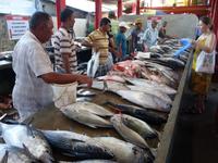 Martk am Samstag in Victoria, Mahe (3)