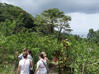 Westliche Seite von Mahe, Seychellen (3)