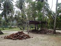 Inselrundfahrt in La Digue, Seychellen (7)