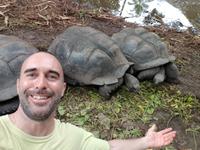 Schildkröten in La Digue, Seychellen (8)