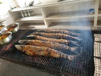 Grand Anse Strand in La Digue, Seychellen (4)