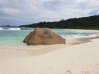 Grand Anse Strand in La Digue, Seychellen (14)