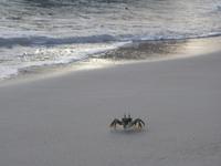Grand Anse Strand in La Digue, Seychellen (15)