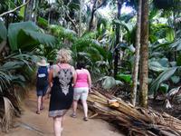 Nationalpark Valleé de Mai, Unesco-Weltkulturerbe auf Prasil Insel (2)