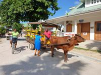 La Digue, Seychellen