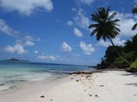Traumstrand in Praslin bei Pearl Farm und Grand Anse, Seychellen (4)
