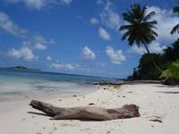 Traumstrand in Praslin bei Pearl Farm und Grand Anse, Seychellen (5)