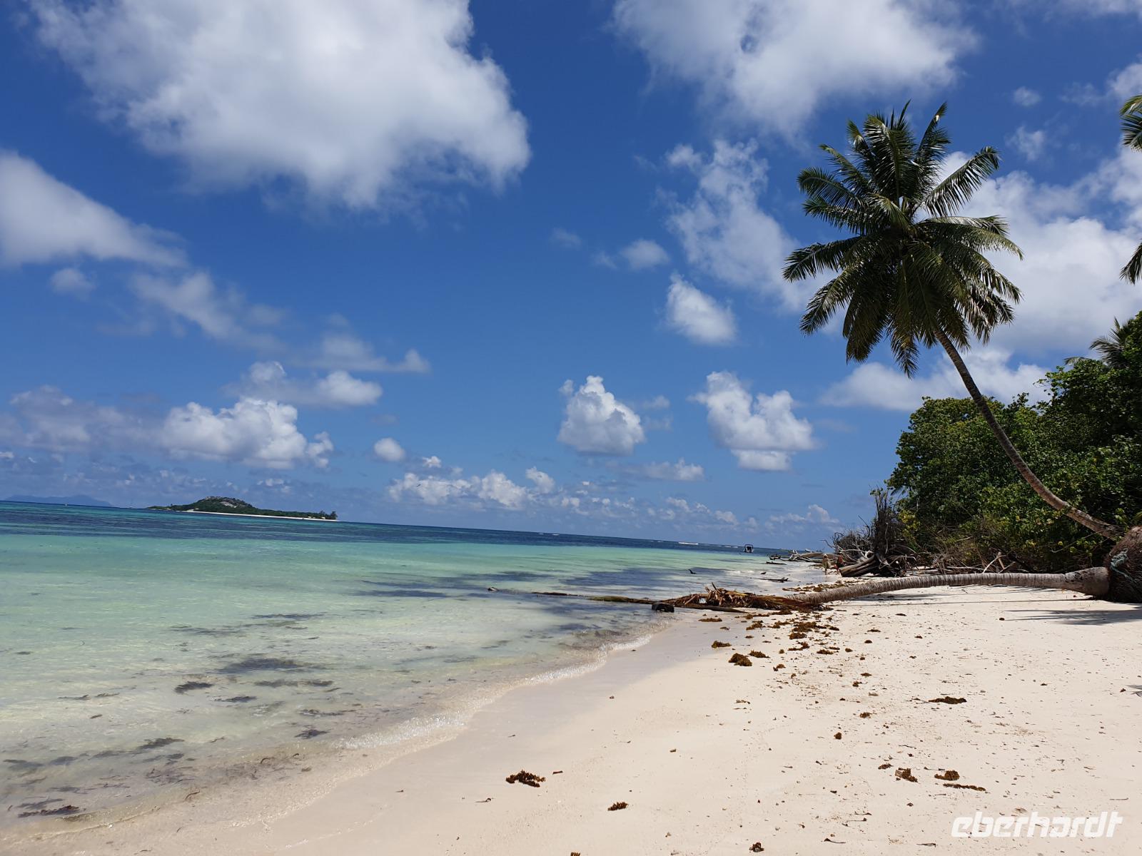 Traumstrand in Praslin bei Pearl Farm und Grand Anse, Seychellen (7)