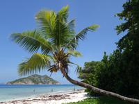 Schnorchelausflug zu den Inseln Sister, Coco und Félicite (5)