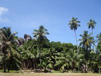 Schnorchelausflug zu den Inseln Sister, Coco und Félicite (6)