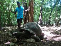 Schnorchelausflug Vögel Insel, Riesenschildkröten auf Curieuse und Schnorcheln bei St. Pierre (6)