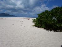 Schnorchelausflug Vögel Insel, Riesenschildkröten auf Curieuse und Schnorcheln bei St. Pierre (10)