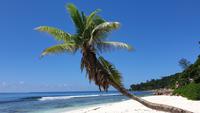 La Digue, Seychellen