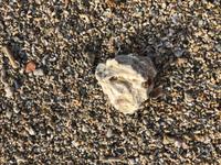 Hilton Mauritius Resort & Spa