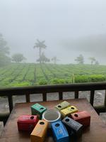 Teeverkostung drin, sintflutartiger Regen draußen