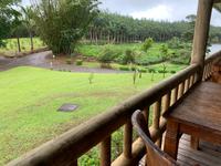 Teeplantage Bois Chérie 