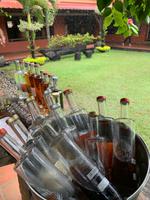 Yammi ... der Rum schmeckt vorzüglich!